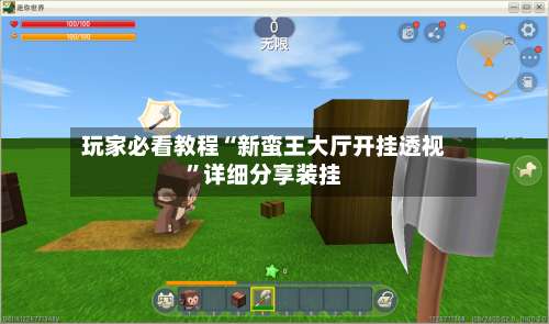 玩家必看教程“新蛮王大厅开挂透视”详细分享装挂-第1张图片