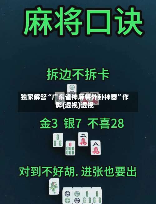 独家解答“广东雀神麻将外卦神器”作弊(透视)透视-第3张图片