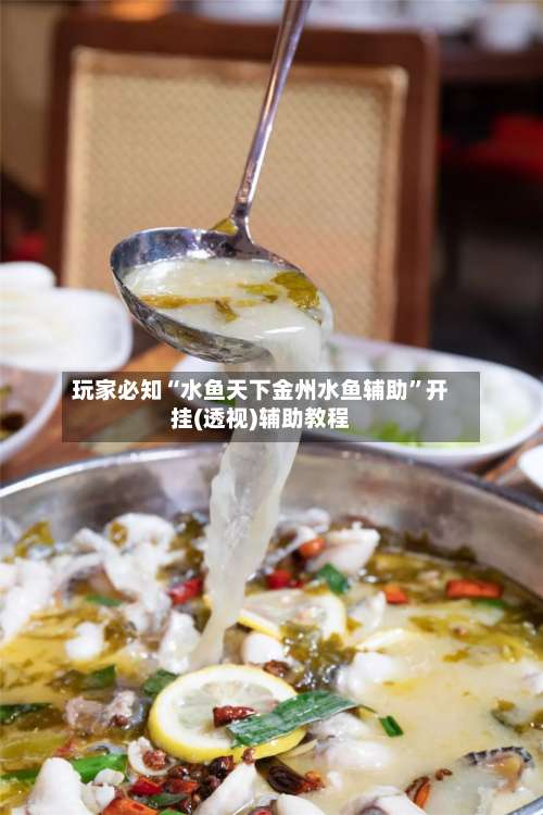 玩家必知“水鱼天下金州水鱼辅助”开挂(透视)辅助教程-第1张图片