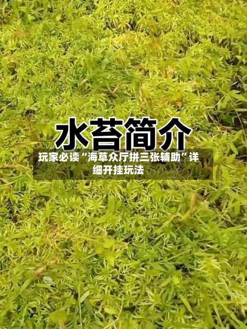 玩家必读“海草众厅拼三张辅助”详细开挂玩法-第1张图片