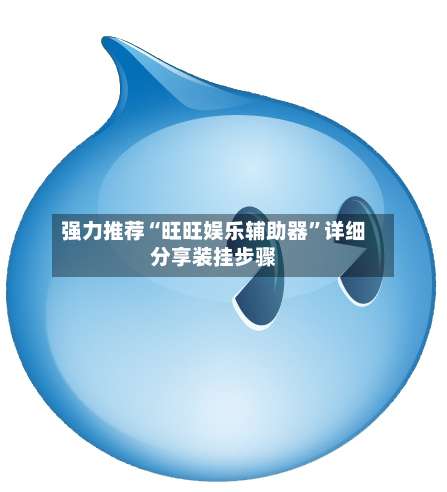 强力推荐“旺旺娱乐辅助器	”详细分享装挂步骤-第1张图片