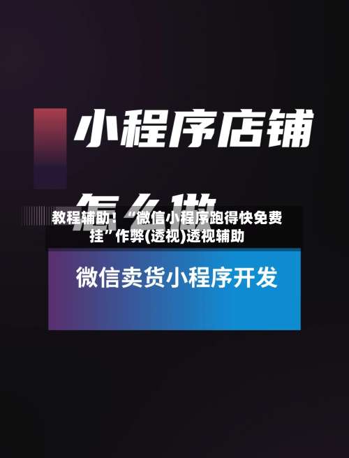教程辅助！“微信小程序跑得快免费挂”作弊(透视)透视辅助-第1张图片