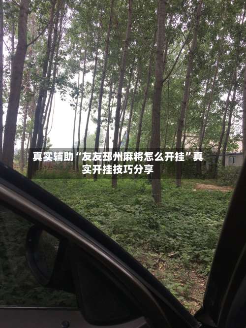 真实辅助“友友邳州麻将怎么开挂”真实开挂技巧分享-第2张图片