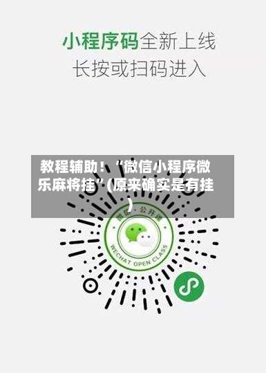 教程辅助！“微信小程序微乐麻将挂	”(原来确实是有挂)-第1张图片
