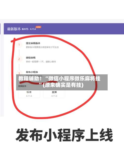 教程辅助！“微信小程序微乐麻将挂”(原来确实是有挂)-第3张图片