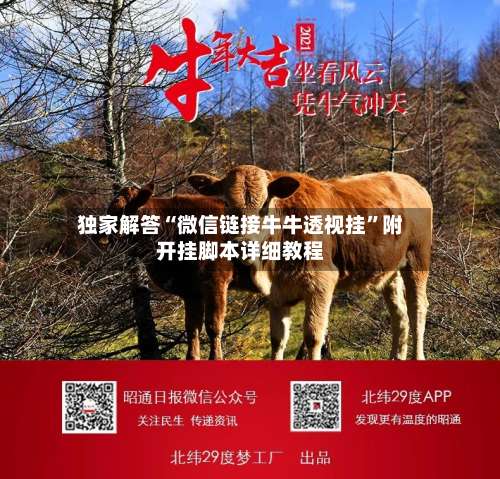 独家解答“微信链接牛牛透视挂	”附开挂脚本详细教程-第1张图片