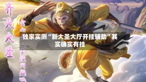 独家实测“新大圣大厅开挂辅助”其实确实有挂-第3张图片