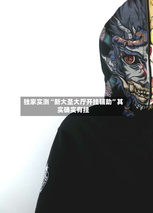 独家实测“新大圣大厅开挂辅助	”其实确实有挂-第2张图片