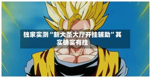 独家实测“新大圣大厅开挂辅助”其实确实有挂-第1张图片