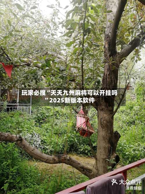 玩家必搜“天天九州麻将可以开挂吗”2025新版本软件-第2张图片