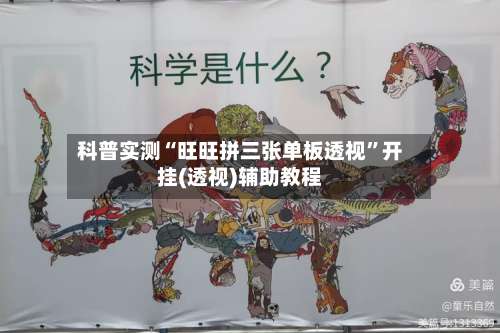 科普实测“旺旺拼三张单板透视”开挂(透视)辅助教程-第3张图片