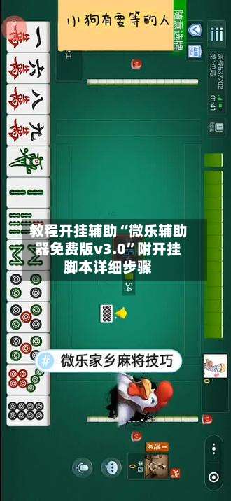 教程开挂辅助“微乐辅助器免费版v3.0”附开挂脚本详细步骤-第1张图片