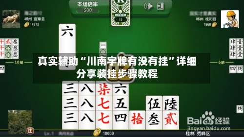 真实辅助“川南字牌有没有挂”详细分享装挂步骤教程-第1张图片