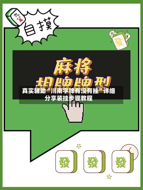 真实辅助“川南字牌有没有挂”详细分享装挂步骤教程-第2张图片