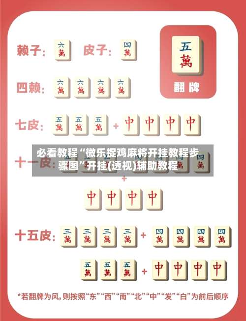 必看教程“微乐捉鸡麻将开挂教程步骤图	”开挂(透视)辅助教程-第1张图片