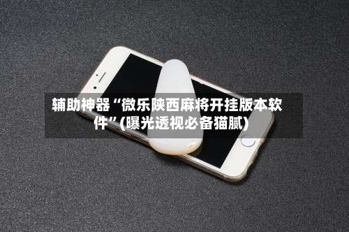 辅助神器“微乐陕西麻将开挂版本软件”(曝光透视必备猫腻)-第3张图片