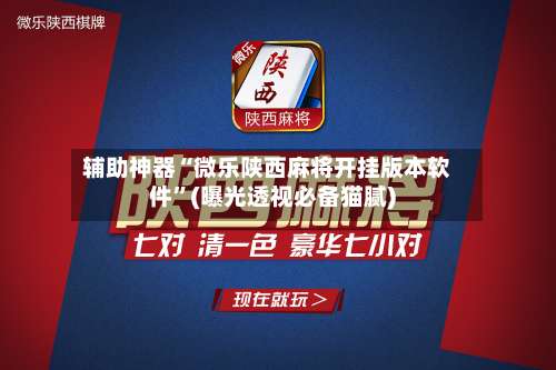 辅助神器“微乐陕西麻将开挂版本软件”(曝光透视必备猫腻)-第1张图片