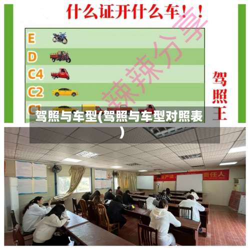 驾照与车型(驾照与车型对照表)-第2张图片