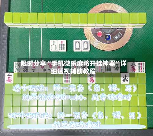 限时分享“手机微乐麻将开挂神器”详细透视辅助教程-第1张图片