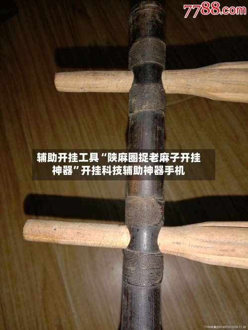 辅助开挂工具“陕麻圈捉老麻子开挂神器”开挂科技辅助神器手机-第2张图片