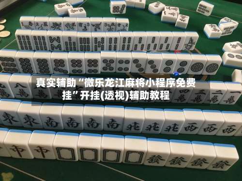 真实辅助“微乐龙江麻将小程序免费挂”开挂(透视)辅助教程-第1张图片