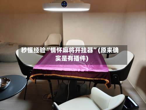 秒懂经验“情怀麻将开挂器”(原来确实是有插件)-第1张图片