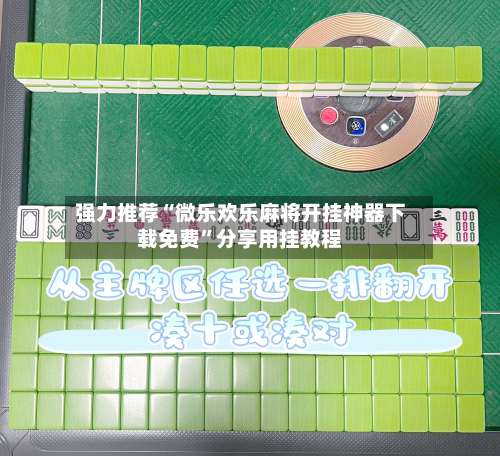 强力推荐“微乐欢乐麻将开挂神器下载免费”分享用挂教程-第2张图片