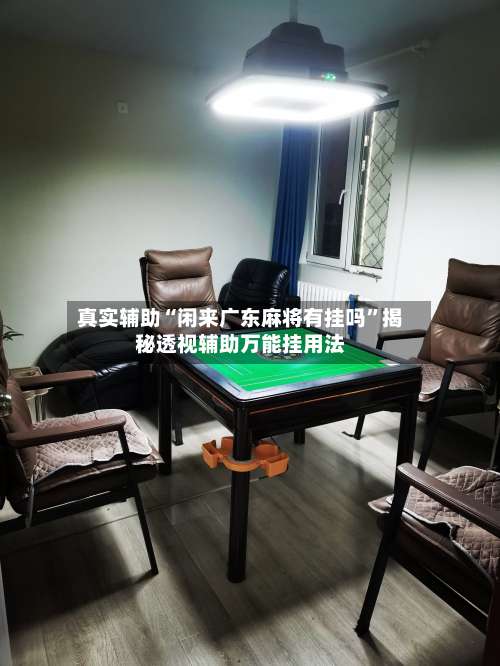 真实辅助“闲来广东麻将有挂吗”揭秘透视辅助万能挂用法-第3张图片