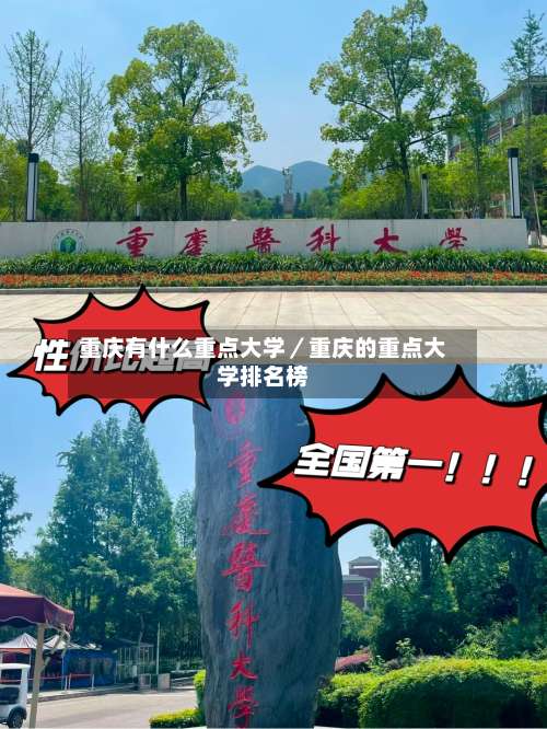 重庆有什么重点大学／重庆的重点大学排名榜-第2张图片