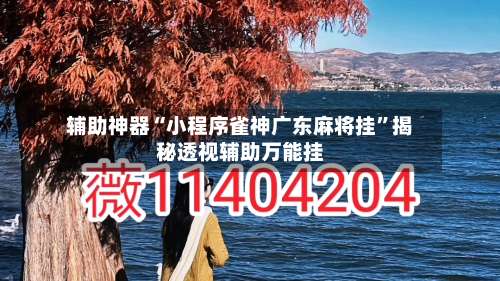 辅助神器“小程序雀神广东麻将挂”揭秘透视辅助万能挂-第2张图片