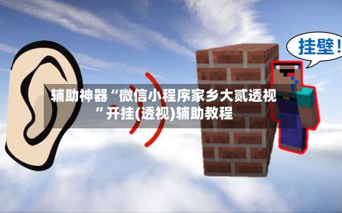 辅助神器“微信小程序家乡大贰透视”开挂(透视)辅助教程-第3张图片