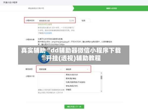 真实辅助“dd辅助器微信小程序下载”开挂(透视)辅助教程-第2张图片