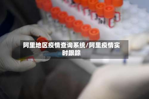 阿里地区疫情查询系统/阿里疫情实时跟踪-第1张图片