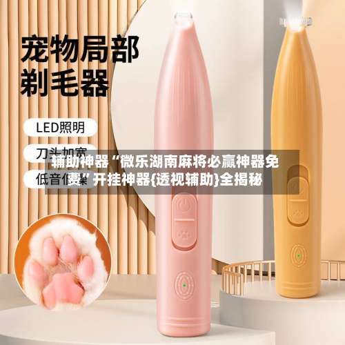 辅助神器“微乐湖南麻将必赢神器免费	”开挂神器{透视辅助}全揭秘-第2张图片