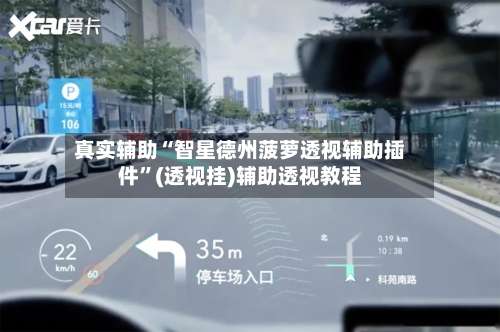 真实辅助“智星德州菠萝透视辅助插件”(透视挂)辅助透视教程-第2张图片