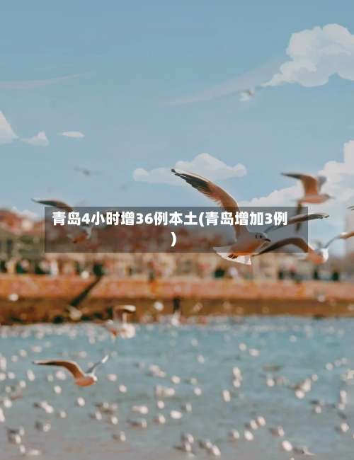 青岛4小时增36例本土(青岛增加3例)-第1张图片