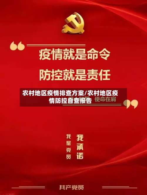 农村地区疫情排查方案/农村地区疫情防控自查报告-第1张图片