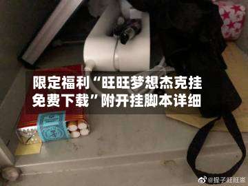 限定福利“旺旺梦想杰克挂免费下载	”附开挂脚本详细-第2张图片