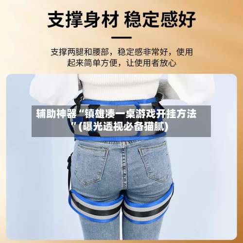 辅助神器“镇雄凑一桌游戏开挂方法”(曝光透视必备猫腻)-第2张图片