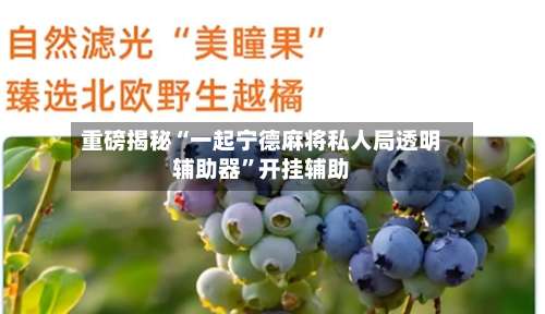 重磅揭秘“一起宁德麻将私人局透明辅助器”开挂辅助-第3张图片