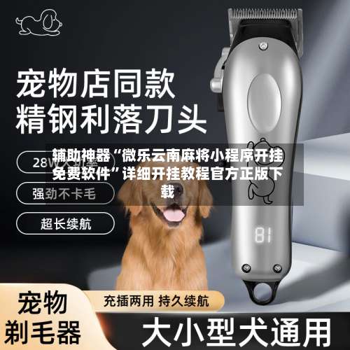 辅助神器“微乐云南麻将小程序开挂免费软件”详细开挂教程官方正版下载-第1张图片