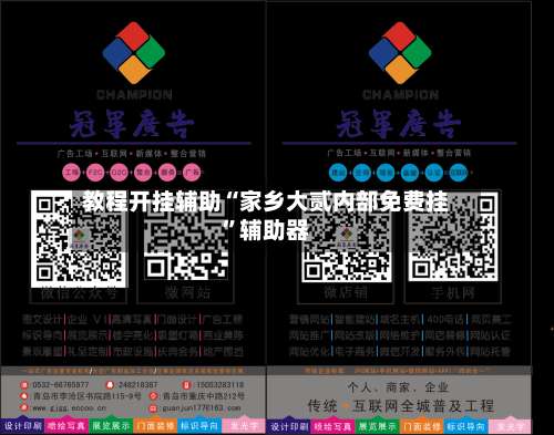 教程开挂辅助“家乡大贰内部免费挂”辅助器-第1张图片