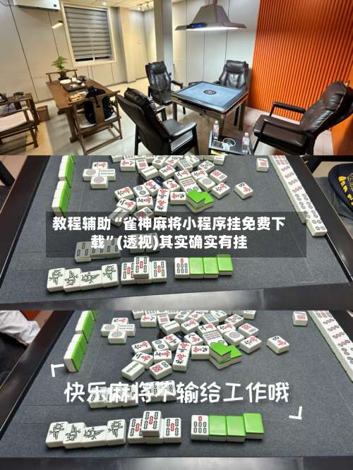 教程辅助“雀神麻将小程序挂免费下载”(透视)其实确实有挂-第3张图片