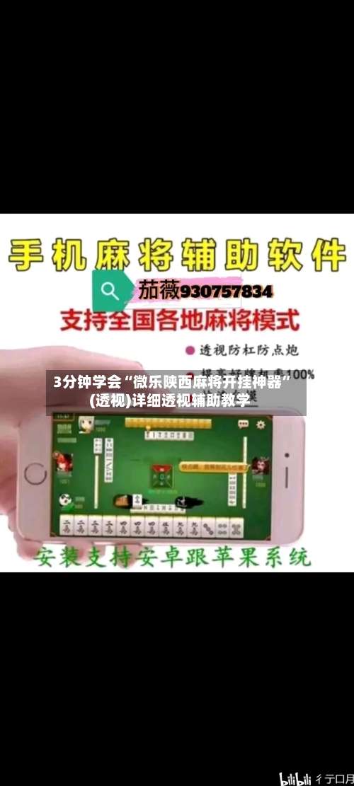 3分钟学会“微乐陕西麻将开挂神器”(透视)详细透视辅助教学-第2张图片