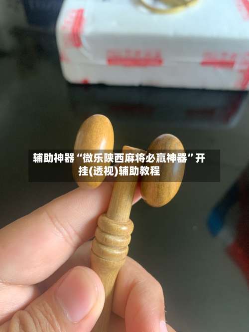 辅助神器“微乐陕西麻将必赢神器	”开挂(透视)辅助教程-第2张图片