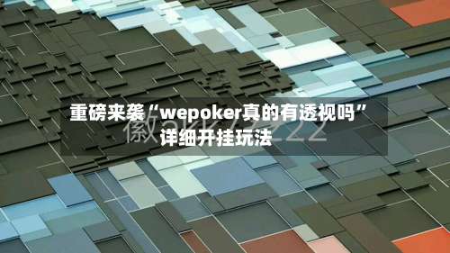 重磅来袭“wepoker真的有透视吗	”详细开挂玩法-第2张图片