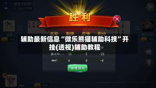 辅助最新信息“微乐熊猫辅助科技”开挂(透视)辅助教程-第3张图片