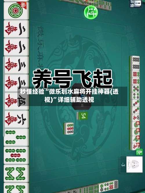 秒懂经验“微乐划水麻将开挂神器(透视)	”详细辅助透视-第1张图片