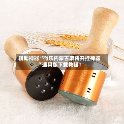 辅助神器“微乐内蒙古麻将开挂神器”通用版下载教程！-第2张图片