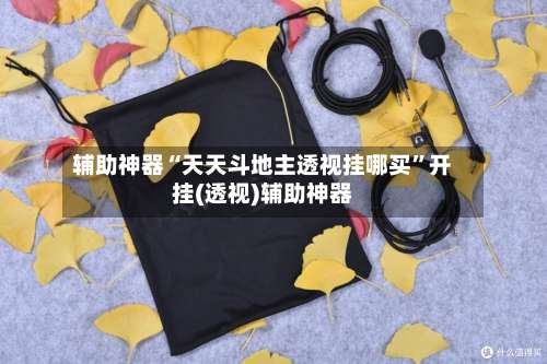 辅助神器“天天斗地主透视挂哪买”开挂(透视)辅助神器-第3张图片